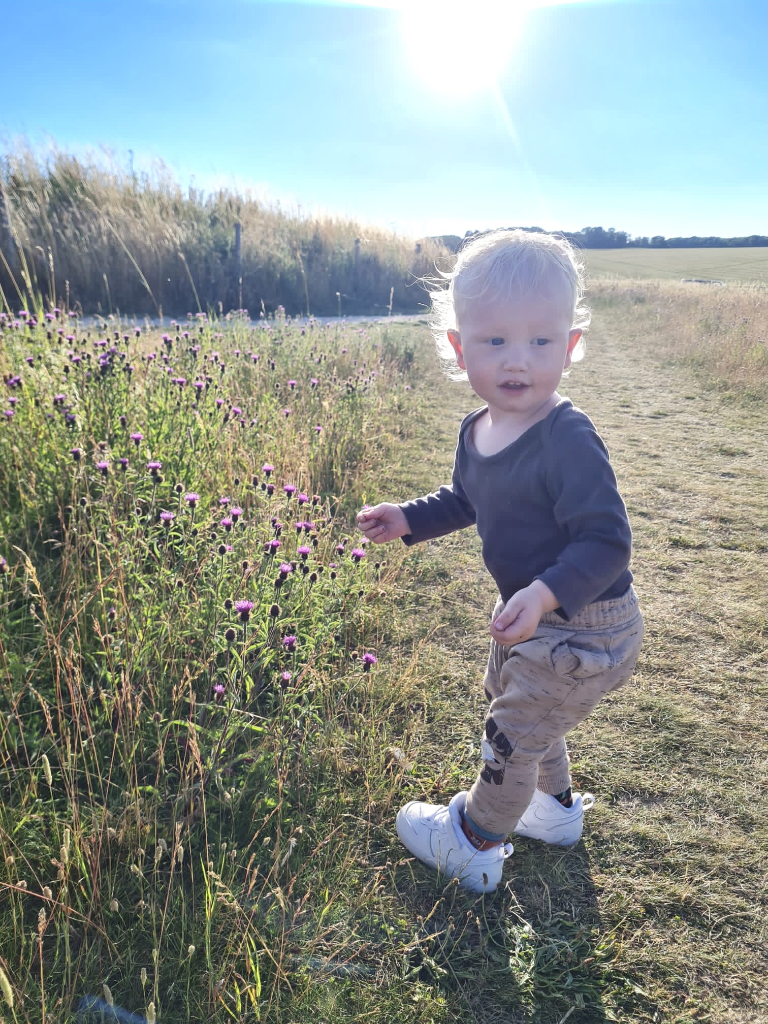 Little boy playing in a field